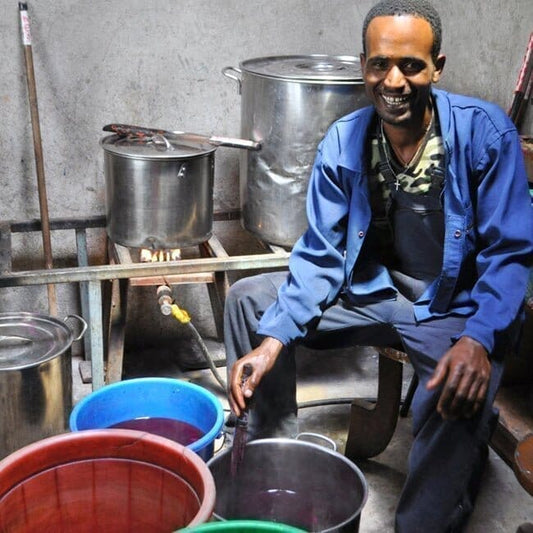 The Art Of Natural Dyeing