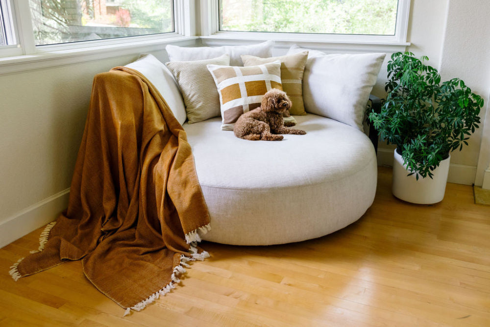 Mechot Throw in Bronze on Couch with dog and kare pillow