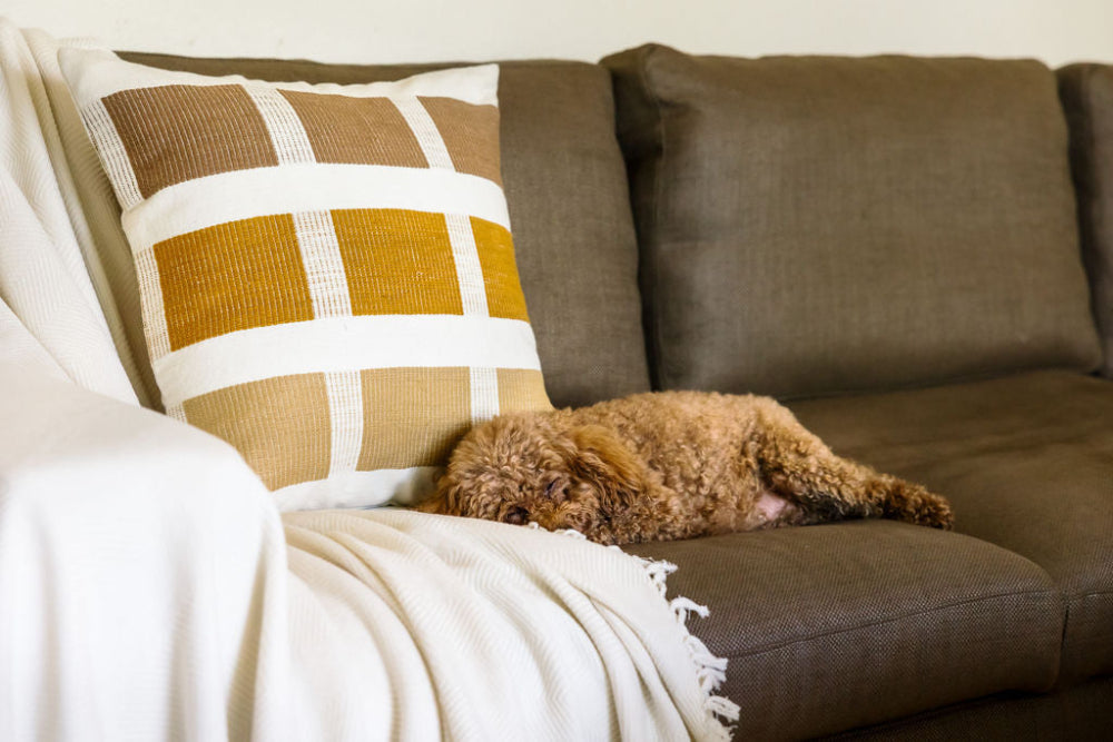 Mechot in Ivory with Kare Pillow and dog