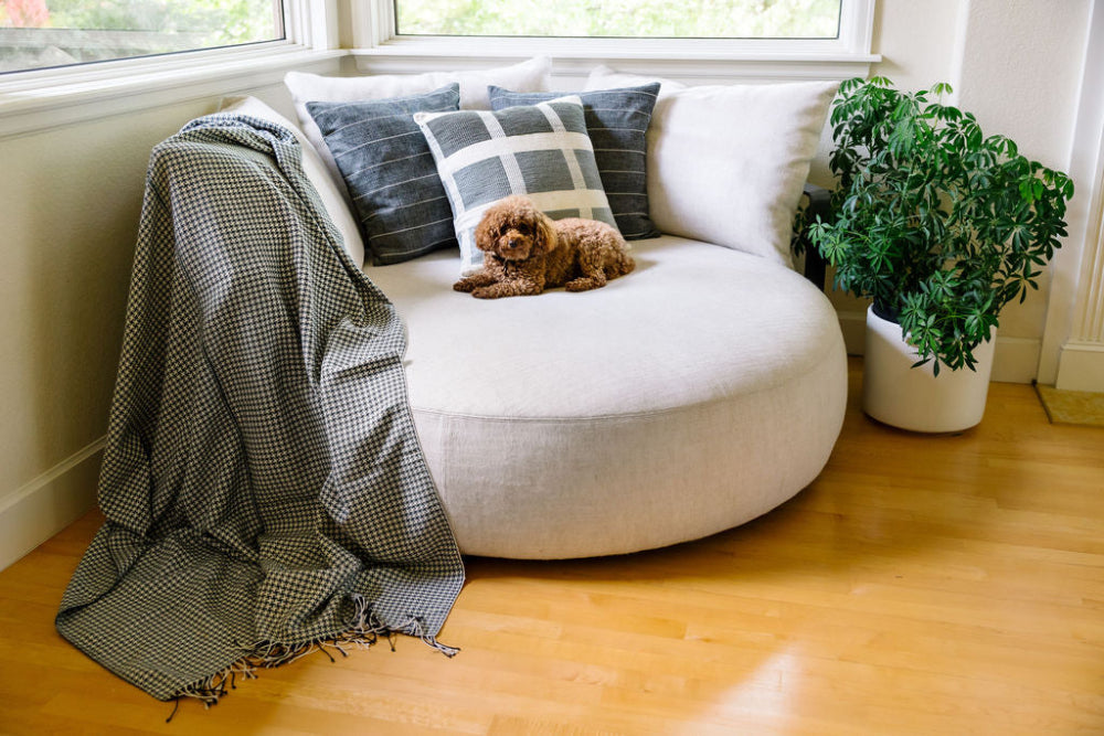 Sitota Throw on couch with Kare and Adama Pillow