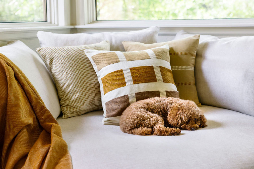 kare pillow in bronze on couch with dog and mechot on the side